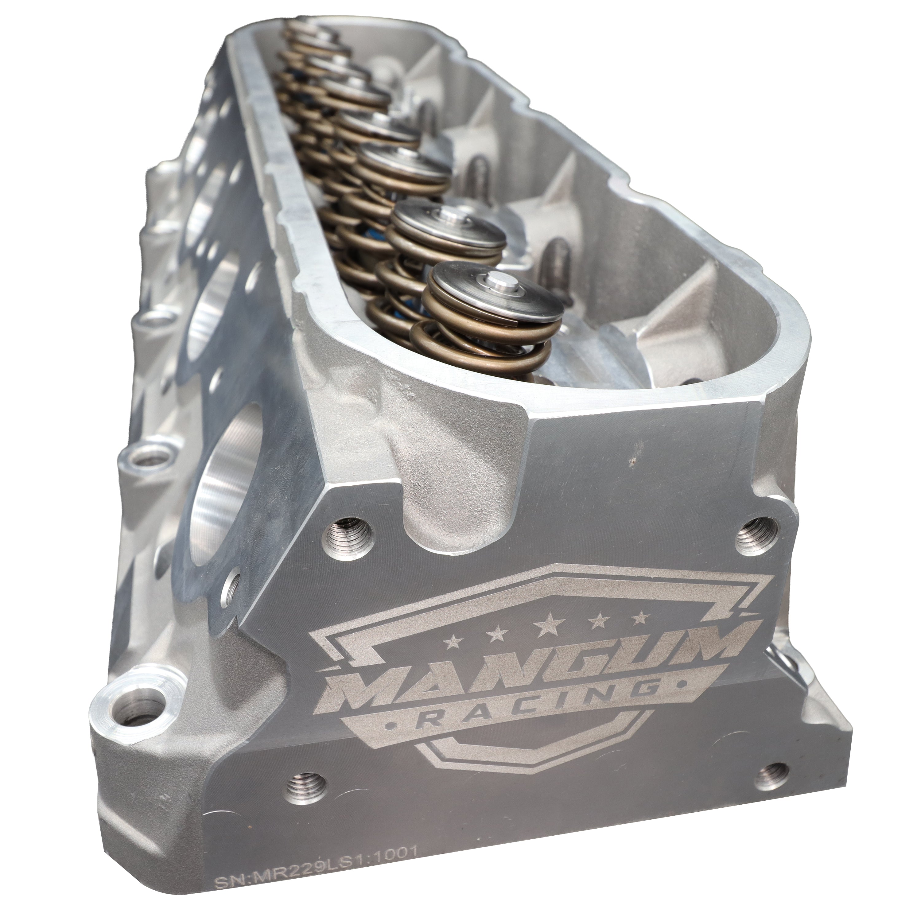 Mangum Racing 229cc LS1 Cylinder Heads (4.8L/5.3L/5.7L/6.0L) 4 Bolt Casting
